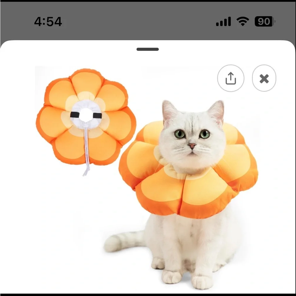 Orange Flower Pet Recovery Collar